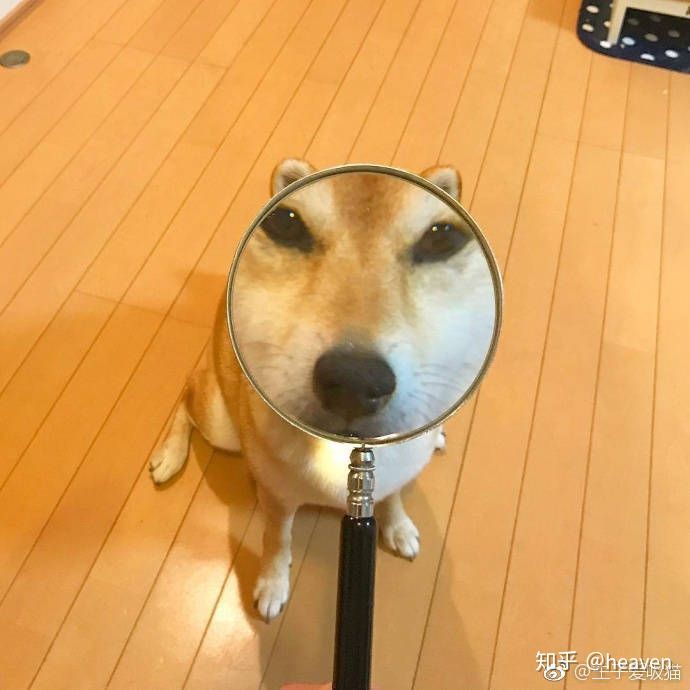 魔鬼情头出没闲杂人等立刻回避