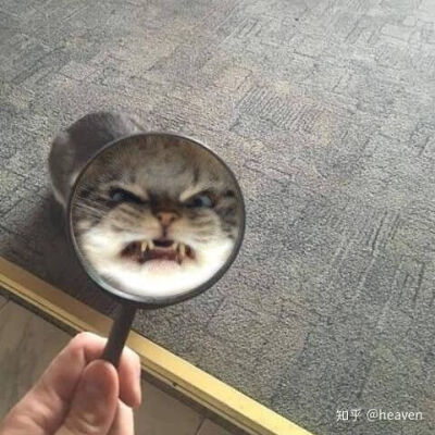 魔鬼情头出没闲杂人等立刻回避