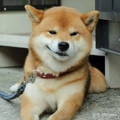 魔鬼情头出没闲杂人等立刻回避