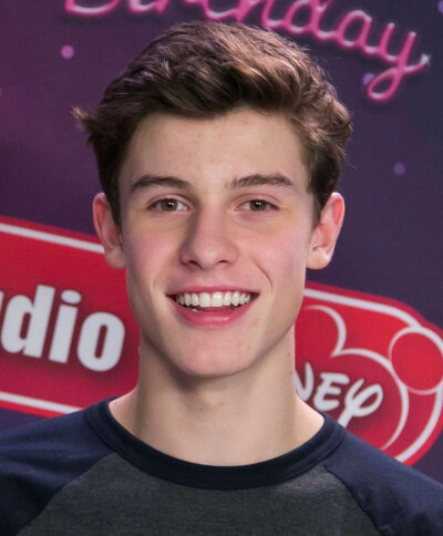 十六岁的shawn mendes