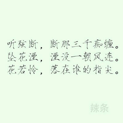 瘦金体