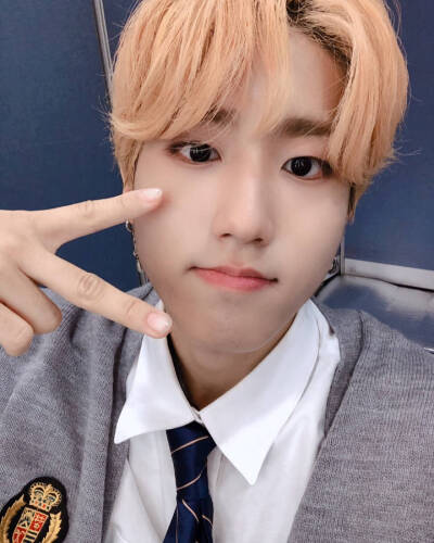 StrayKids 韩知城