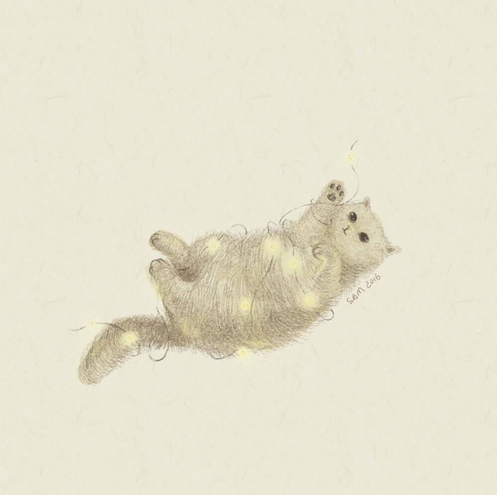 温暖治愈系喵喵