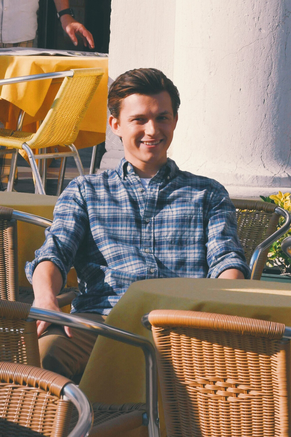 tomholland自调cr野生什么菌