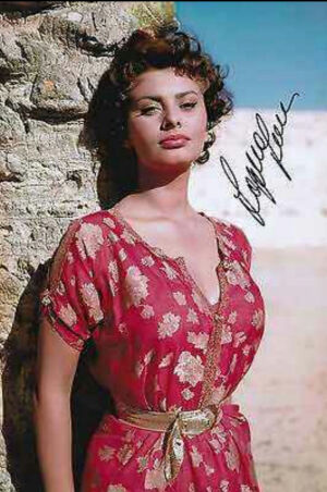 索菲亚罗兰
        第34届奥斯卡影后签名照