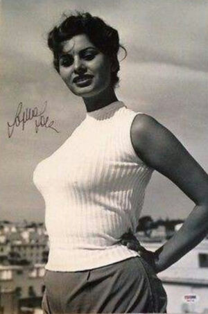 索菲亚罗兰
        第34届奥斯卡影后签名照