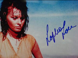 索菲亚罗兰
        第34届奥斯卡影后签名照