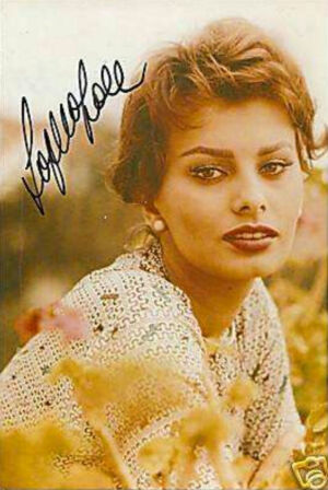 索菲亚罗兰
        第34届奥斯卡影后签名照