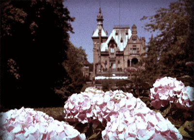 图源：20世纪福斯官博