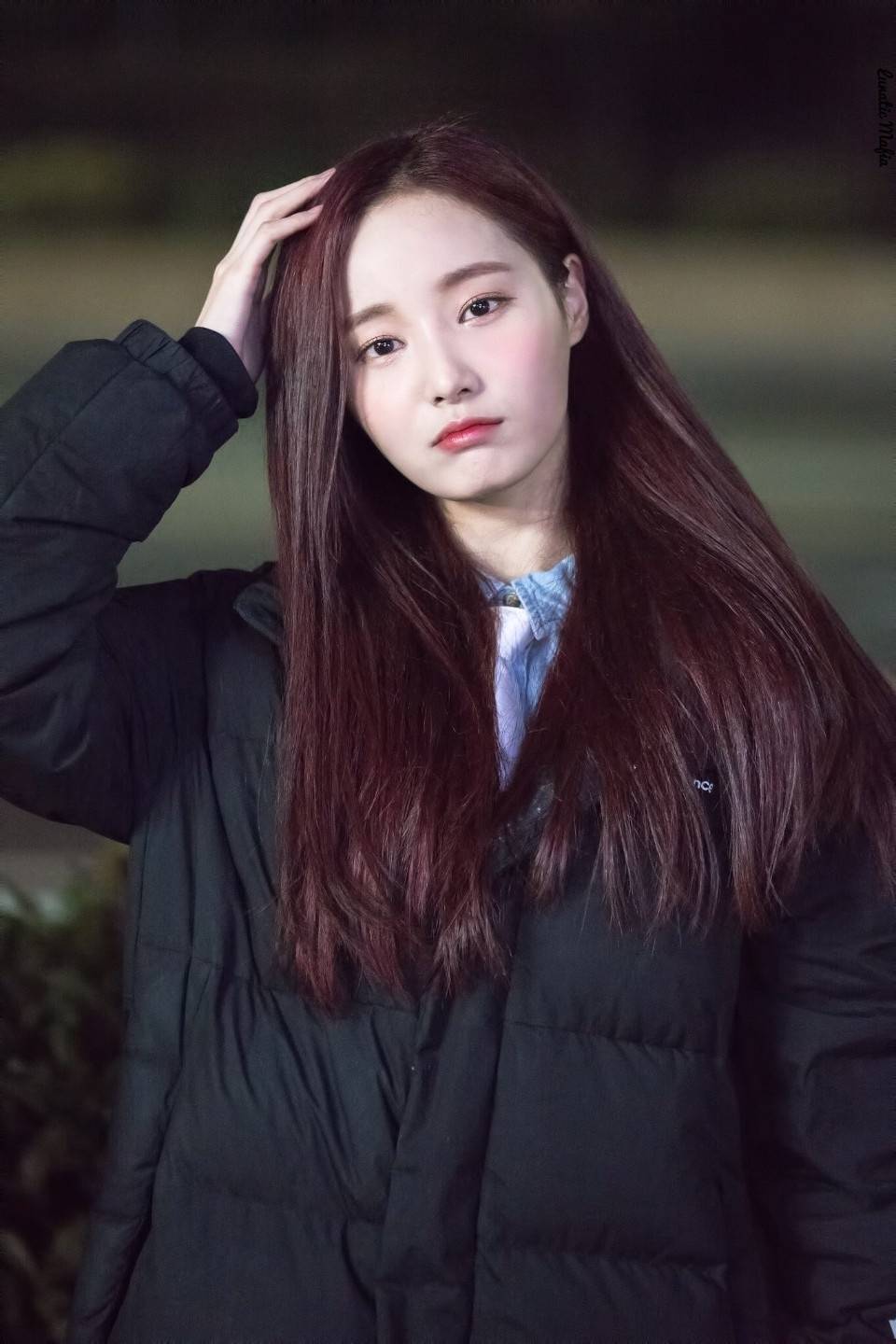 Momoland*妍雨