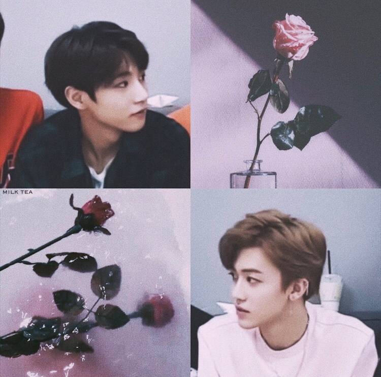 娜俊头像壁纸没有奶茶喝