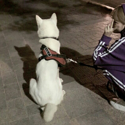 二传注明堆糖烎喋 