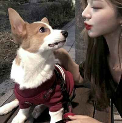 二传注明堆糖烎喋 