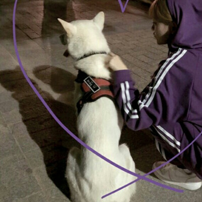 二传注明堆糖烎喋 