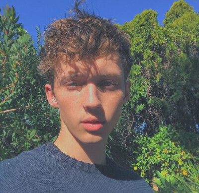 头像 壁纸 troye ins via:perfectlytroye