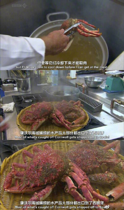 【美食记录：日本大使的饕餮盛宴】Rick是英国大厨，以做海鲜菜闻名，这次是的日本美食震惊之旅。日本料理的精华是什么？海胆？鱼生？时令蔬菜？优美摆饰？本片就将为大家揭示日本料理的精髓，看似烹饪简单，背后却包…