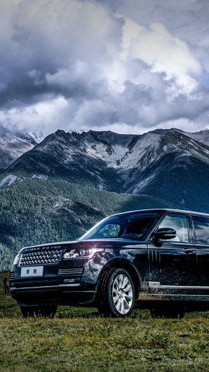 手机壁纸♥美图收藏