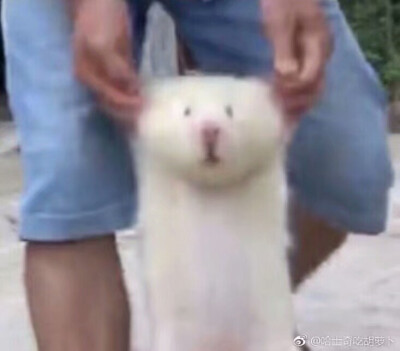 满船清梦压星河