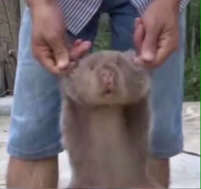 满船清梦压星河