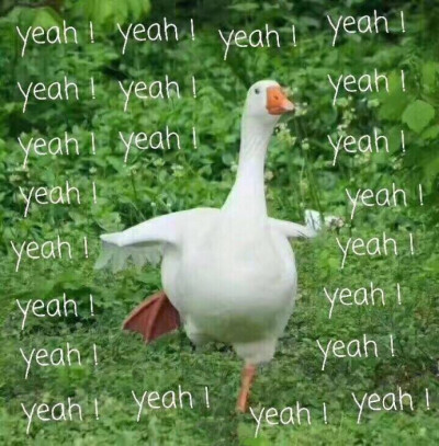 我回来啦，有木有什么专辑邀请我(๑>؂<๑）