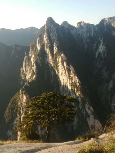 夜爬华山☞坐缆车
糟了，是心肌梗塞的感觉( ･_･)
不过比起之后的盘山公路，这个真得不算什么