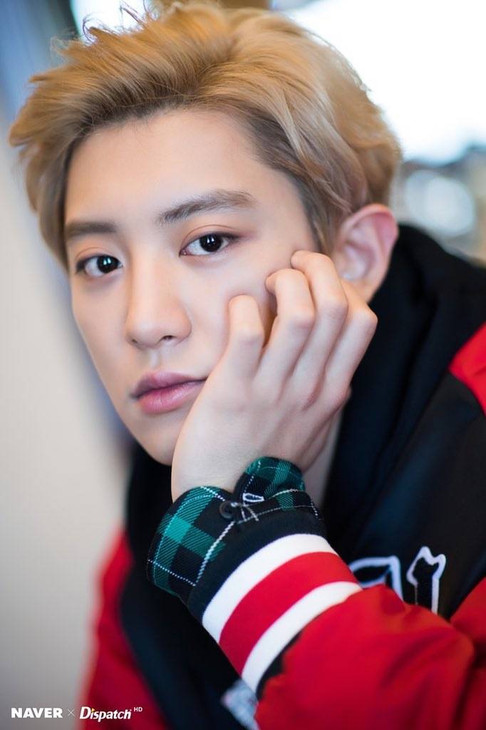 exo朴灿烈高清壁纸