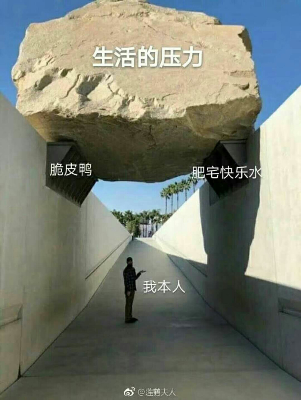 是我本人