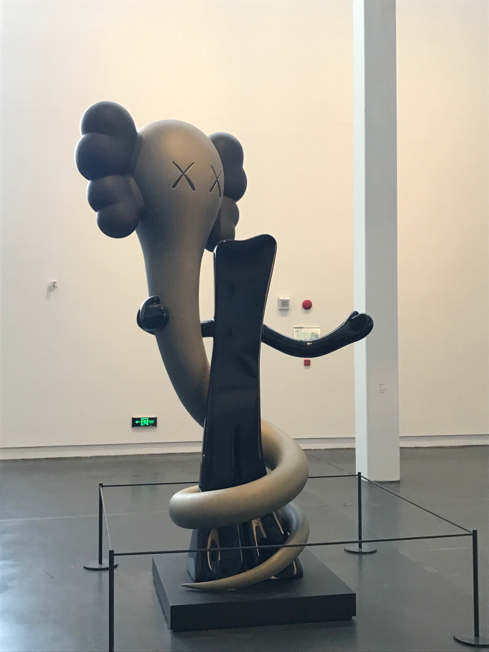 KAWS