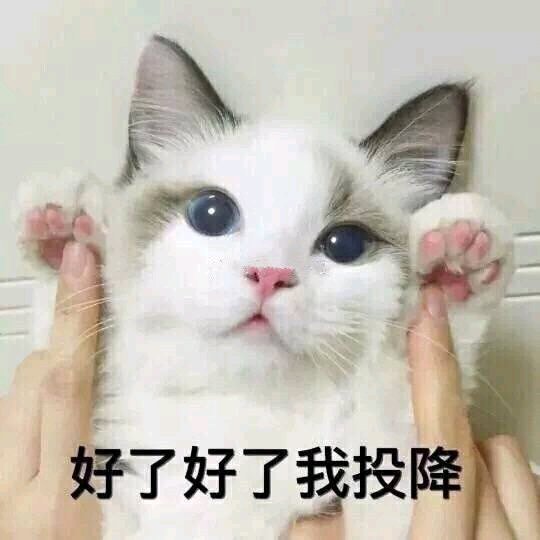 噗哈哈汤姆猫也是猫吧