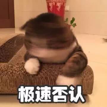 噗哈哈汤姆猫也是猫吧