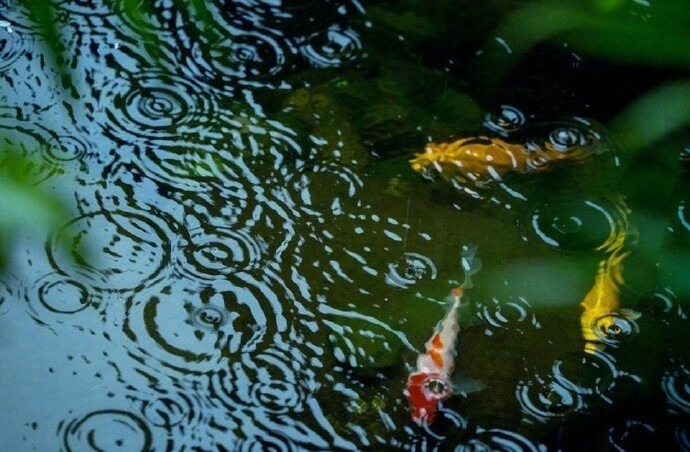 一方青伞，牵半世思量。一疏雨狂，一宿青丝长。一隅回眸，倾得两世往。 ​