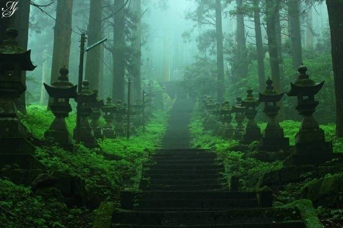 「上色见熊野座」神社是「萤火之森」与「夏目友人帐」取景地，雾雨后简直打破次元壁，分的清是画还是现实么 ​