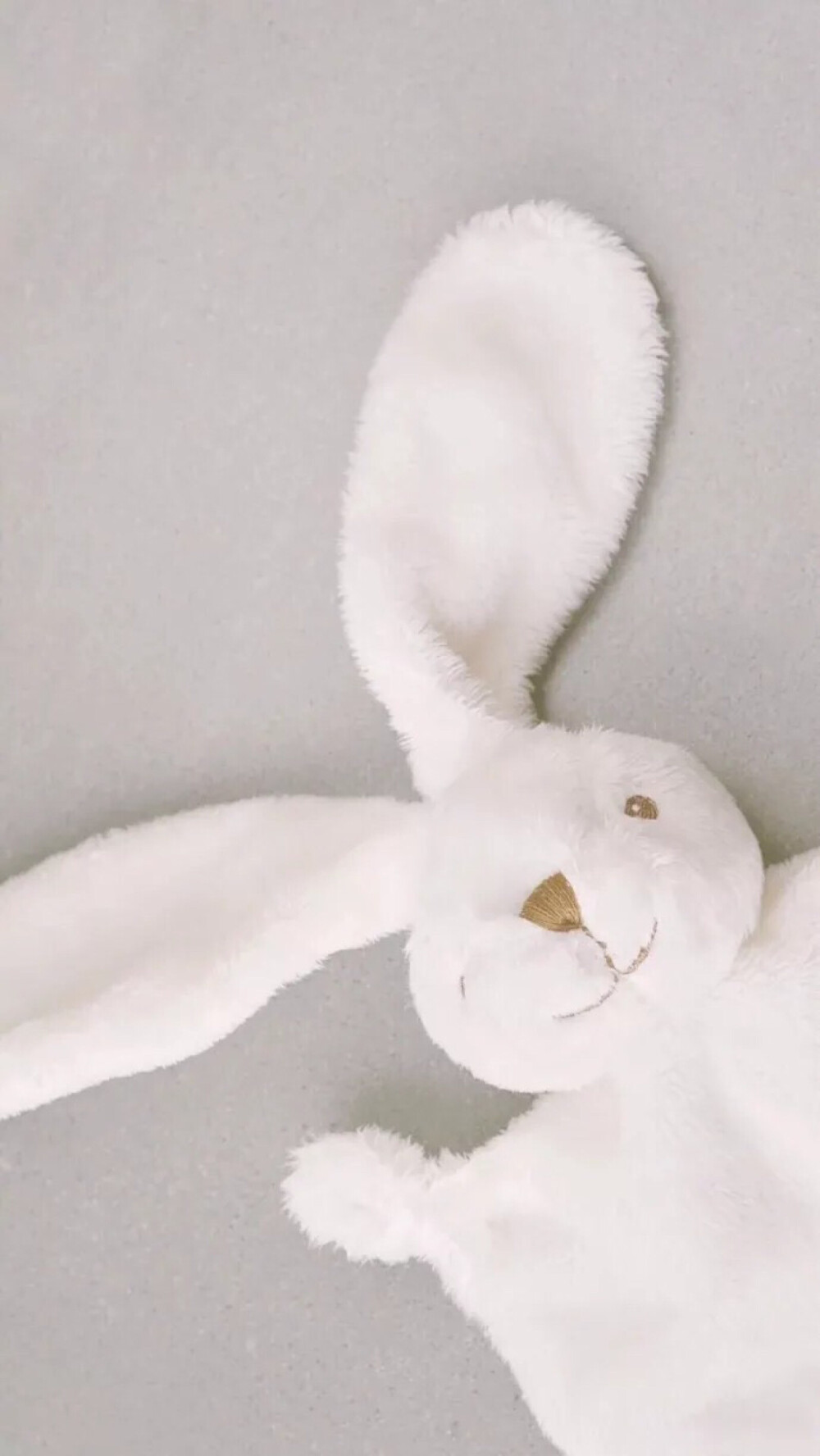 苹果壁纸小兔子