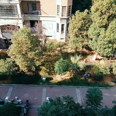 都是用轻颜拍的自己家小区，用了滤镜