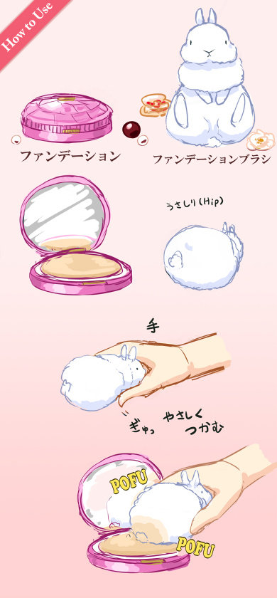 动物