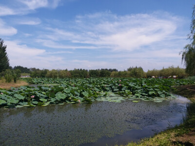 美丽家乡