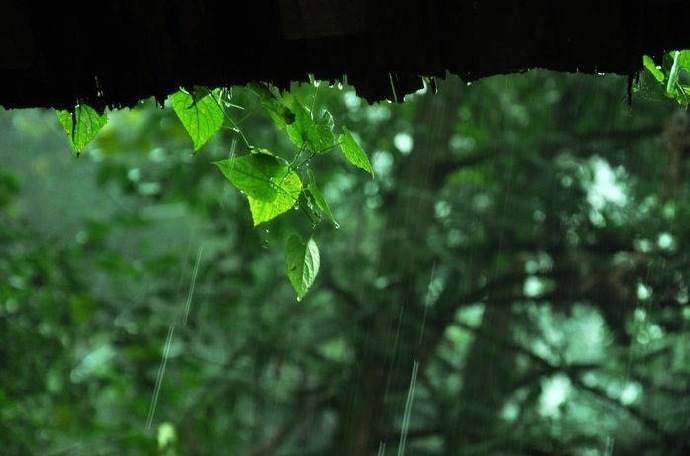 九月江南烟雨里。客枕凄凉，到晓浑无寐。起上小楼观海气。昏昏半约渔樵市。 断雁西边家万里。料得秋来，笑我归无计。剑在床头书在几。未甘分付黄花泪。----------《凤栖梧》程垓 ​