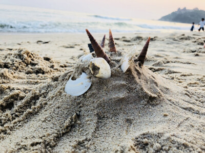 海陵岛 海边 随意拍