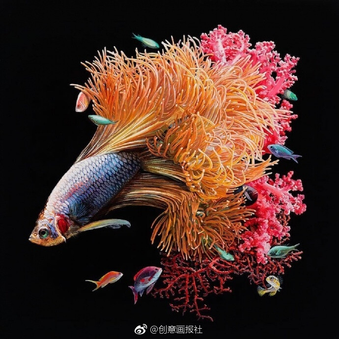 艺术家lisa ericson的鱼和珊瑚超现实#绘画#，扔进鱼缸里根本分辨不出来 ​