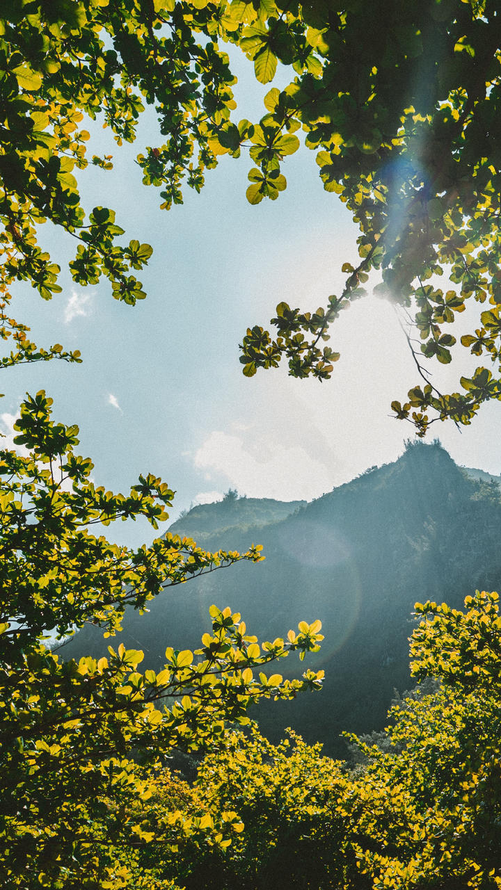 高清壁纸——风景静物