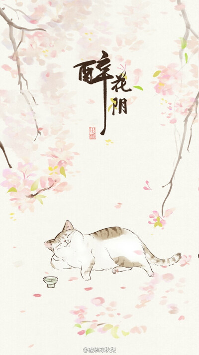 猫 壁纸