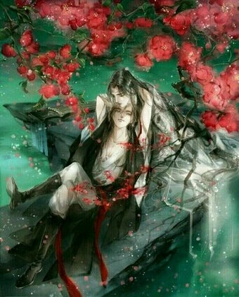 魔道祖师 cr.九条轮