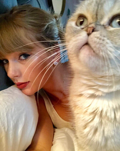 Taylorswift
❥ᴅᴜʀɪɴɢɪʀʟ