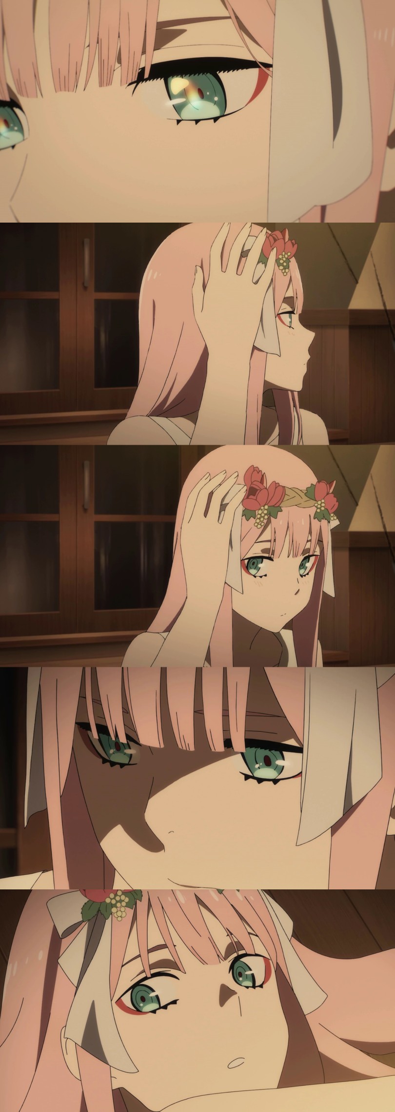 DARLING in the FRANXX