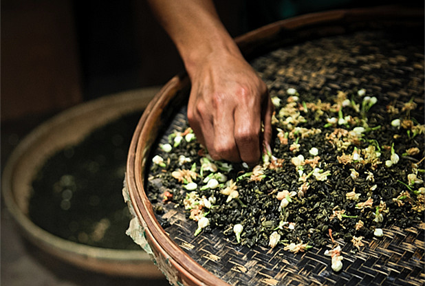 茶为骨，花为魂，啜茗清飘茉莉香 … ​