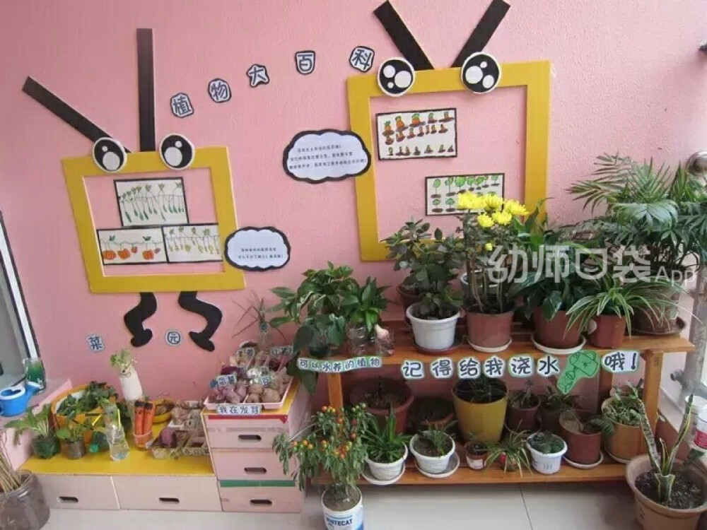 植物角