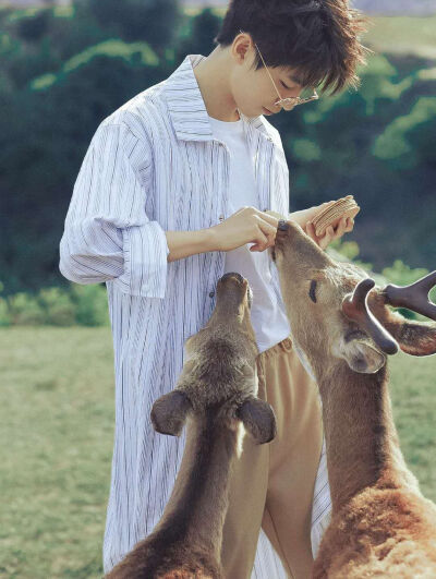 从开始到未来只为王俊凯