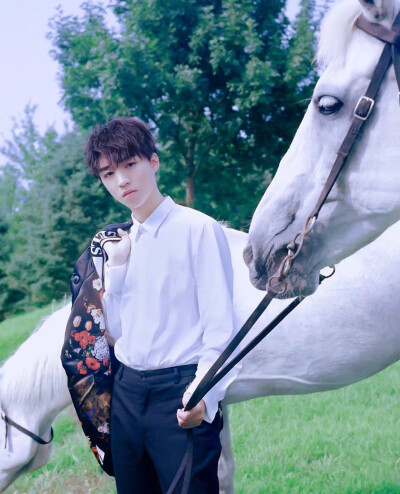 从开始到未来只为王俊凯