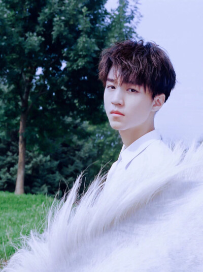 从开始到未来只为王俊凯