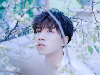 从开始到未来只为王俊凯